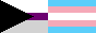 demisexual + trans flag